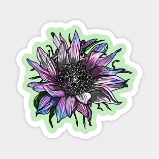 Trans Sunflower Magnet