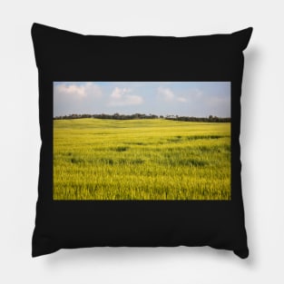 Camrose County Canola Pillow