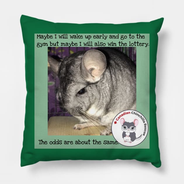 Chin inspirational thoughts Pillow by canchinrescue