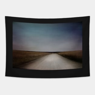 Lonely Country Road photograph Tapestry