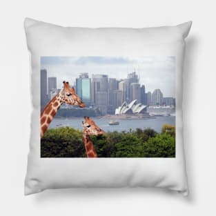 Giraffe at Taronga Zoo Sydney Pillow