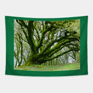 Green Moss Tree Tapestry