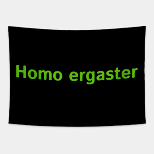 Homo ergaster Tapestry