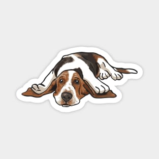 Basset Hound Dog Magnet