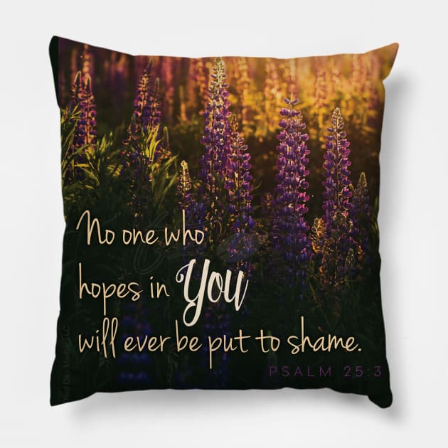 No one who hopes in You will ever be put to shame, Lord. Pillow by Third Day Media, LLC.