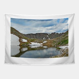 Summit Lake in Summer Tapestry