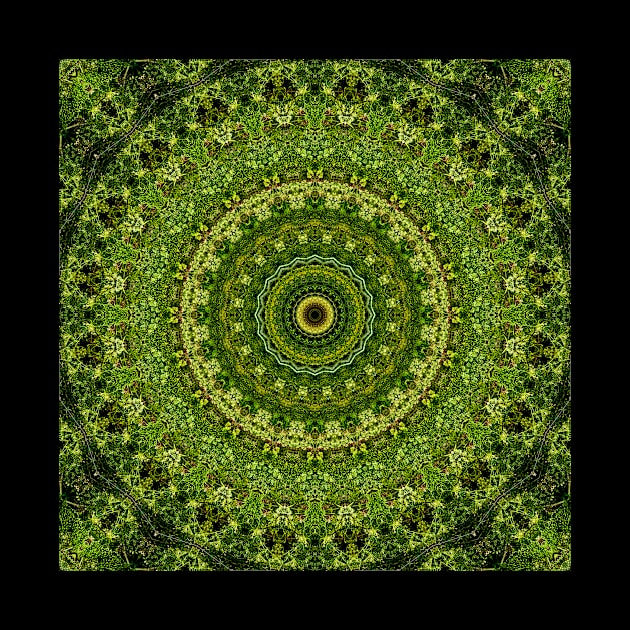 Mandala Kaleidoscope in Shades of Green and Brown by Crystal Butterfly Creations