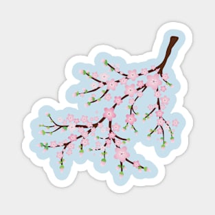 Branch with pink blossoms and flower butts Magnet