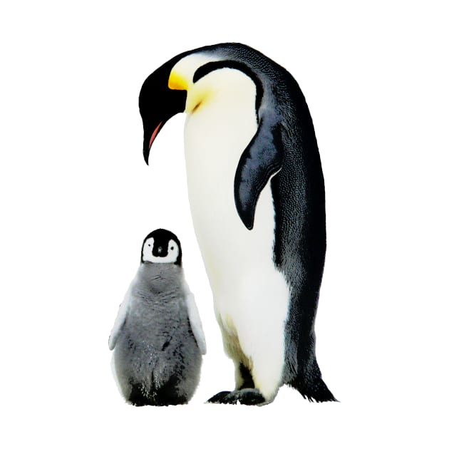 Emperor Penguins by RandomArtHouse