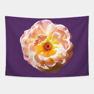 Ombre Flower Tapestry