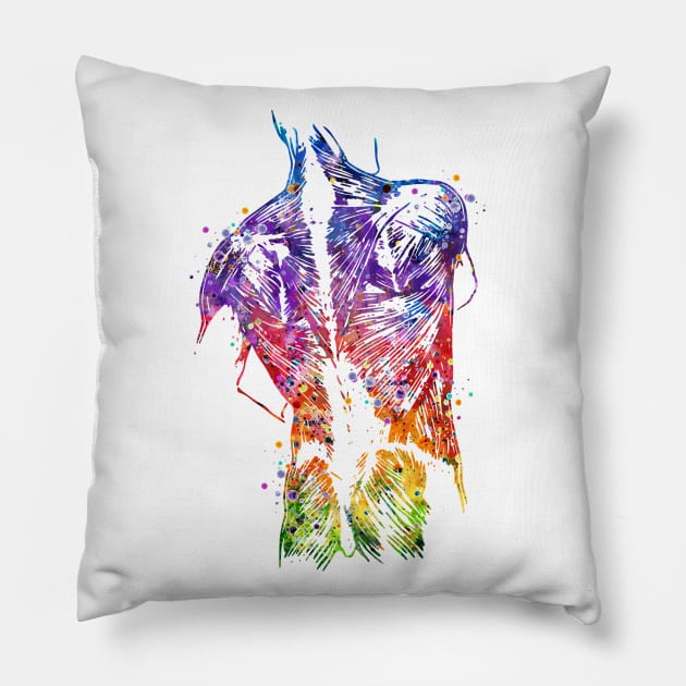 Human Back Muscles Colorful Watercolor Pillow by LotusGifts