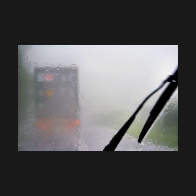 Terrifying: Looking Through A Glass Darkly: Monsoon, Borneo by Carole-Anne