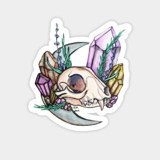 Skull and Crystal Magnet