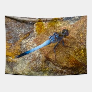 Blue Dragon Fly! Tapestry