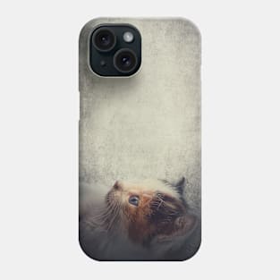 little kitty Phone Case