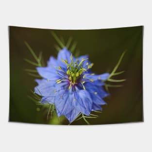 Nigella Flower Blue Tapestry