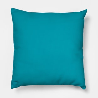 Light Blue Pillow