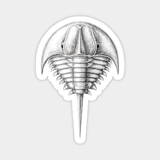 horseshoe crab extinct species- Patesia randalli Magnet