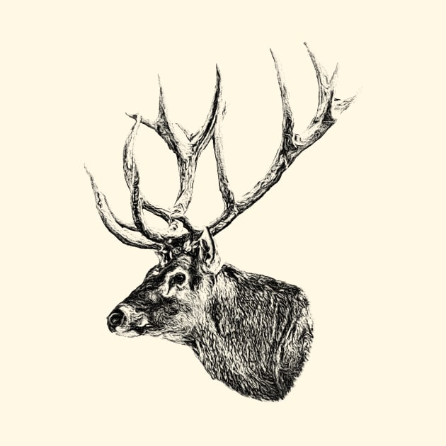 Deer portrait by Guardi