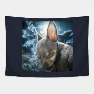 Cute Cheeky Chihuahua Face Bedtime Dream art Tapestry