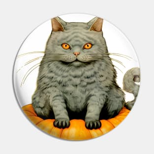 Japanese Cat on a Halloween Pumpkin During the Halloween Season on a light (knocked out) background Pin