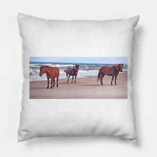 Wild horses, wildlife, A Trio of Beach Buddies Pillow