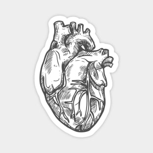 Heart sketch Magnet