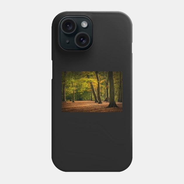 Beech Tree Forest in Autumn Phone Case by TonyNorth