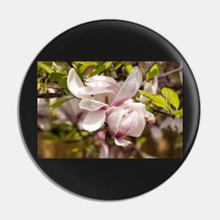 Pink Magnolia Blossoms Pin