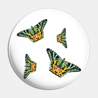 Colorful Butterfly , Cute Light Butterflies Gift Idea Pin