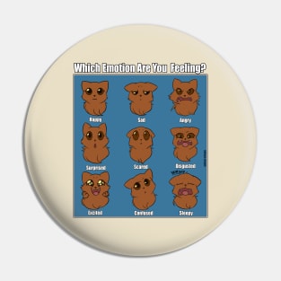 Emotions of A Cat Pin