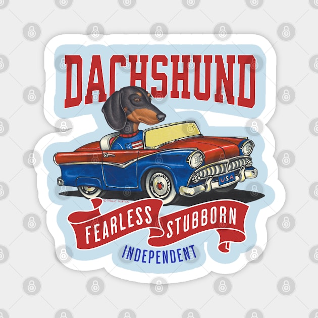 Funny and Cute Doxie Dachshund dog in a classic vintage retro car with red white and blue banner flags Magnet by Danny Gordon Art