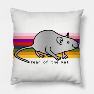 Year of the Rat on a Rainbow Pillow
