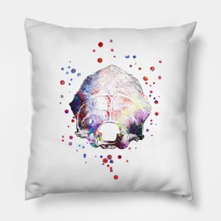 Occipital bone Pillow