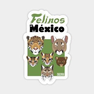 Felinos de Mexico 2 Magnet