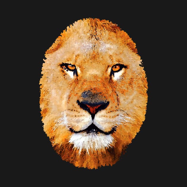 lion by Hujer