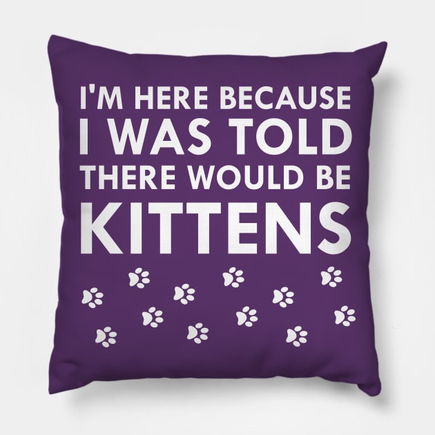 I Was Told There Would Be Kittens Cat Lover Paws Pillow by FlashMac