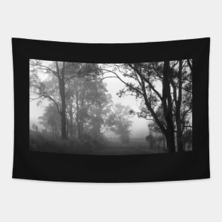 Foggy morning III Tapestry