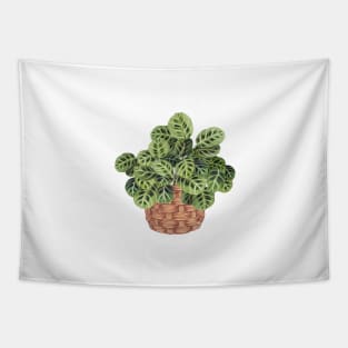 Prayer Plant In Basket Tapestry