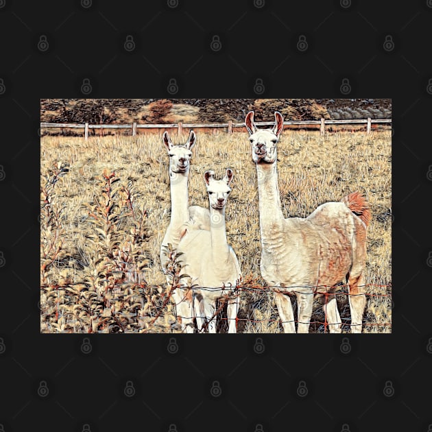 Llama Family 1D by MaryLinH