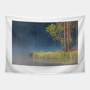 Forest reflecting to small lake at morning Tapestry