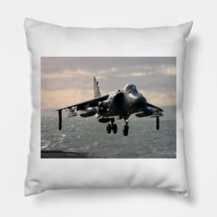 Sea Harrier Hovering Pillow