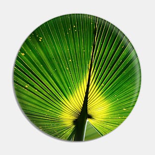 Interesting pattern, detail of a banana leaf Pin