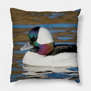 Male Bufflehead Duck at the Pond Pillow