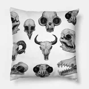 Skulls Pillow