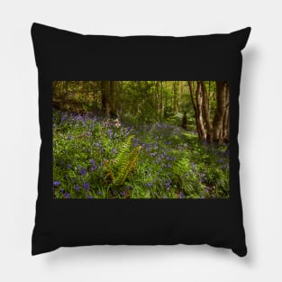 St Illtyd's Way through Coedalltacham, Pontardawe, Wales Pillow