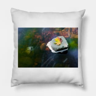 Autumn Leaf in Stream Pillow