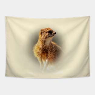 Yellow mongoose Tapestry