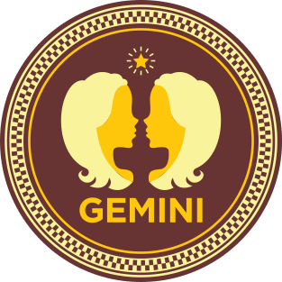 Gemini Magnet