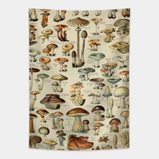 Mushrooms Vintage Botanical Illustration Tapestry